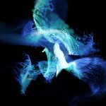 metaverse